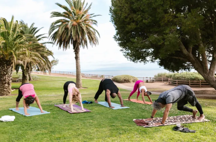 Recommended Standard Yoga Mat Sizes
