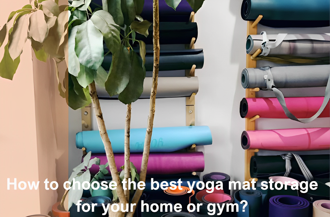 Wall-mounted yoga mat rack with neatly rolled mats in various colors and a plant in front
